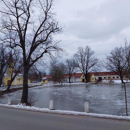 Ubytovani U Dvoraku Veselí nad Lužnicí Extérieur photo