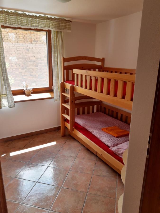 Ubytovani U Dvoraku Veselí nad Lužnicí Extérieur photo